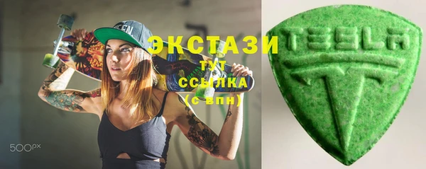 индика Беломорск