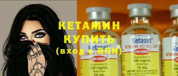 шишки Белокуриха