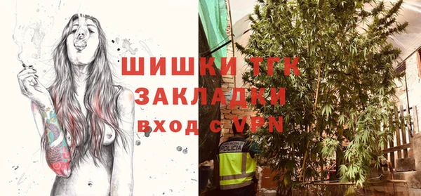 индика Беломорск