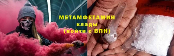 шишки Белокуриха