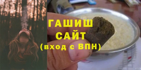 шишки Белокуриха