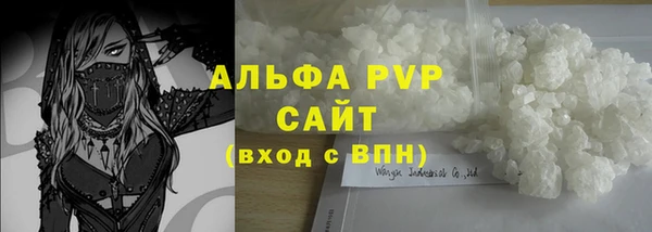 шишки Белокуриха