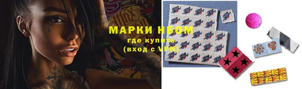 шишки Белокуриха