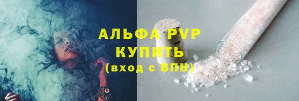 индика Беломорск