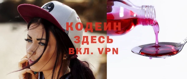 стаф Богданович