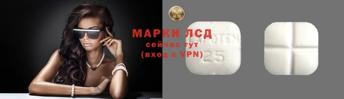 шишки Белокуриха