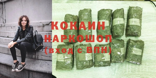 шишки Белокуриха