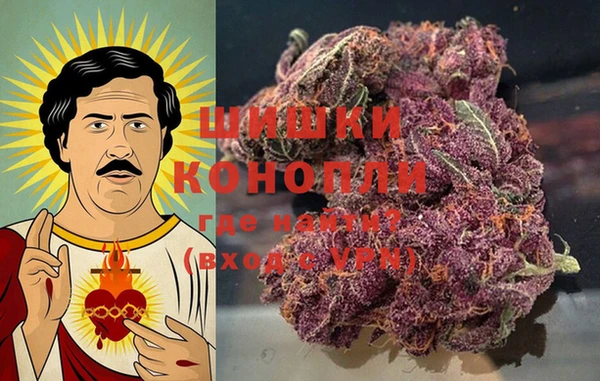 шишки Белокуриха