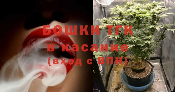 индика Беломорск