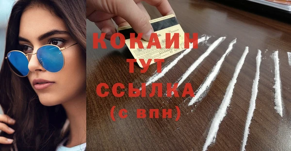 стаф Богданович