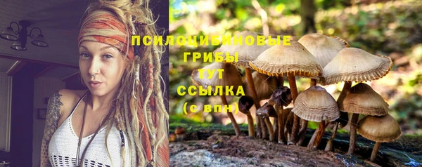 индика Беломорск