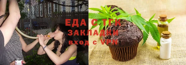 стаф Богданович