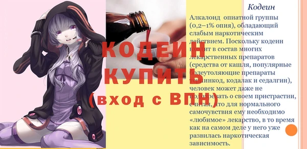 шишки Белокуриха