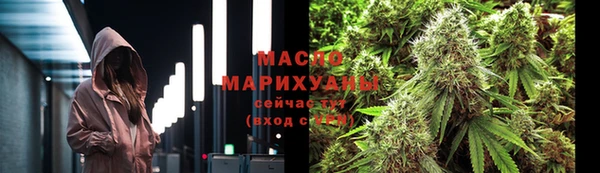 индика Беломорск