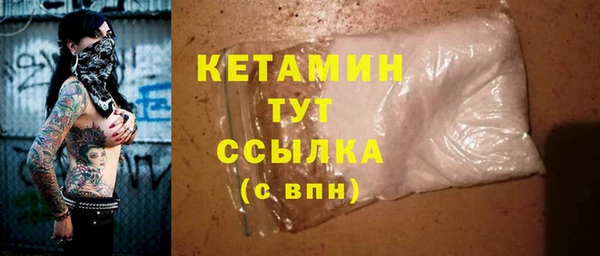 шишки Белокуриха