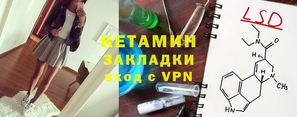 индика Беломорск
