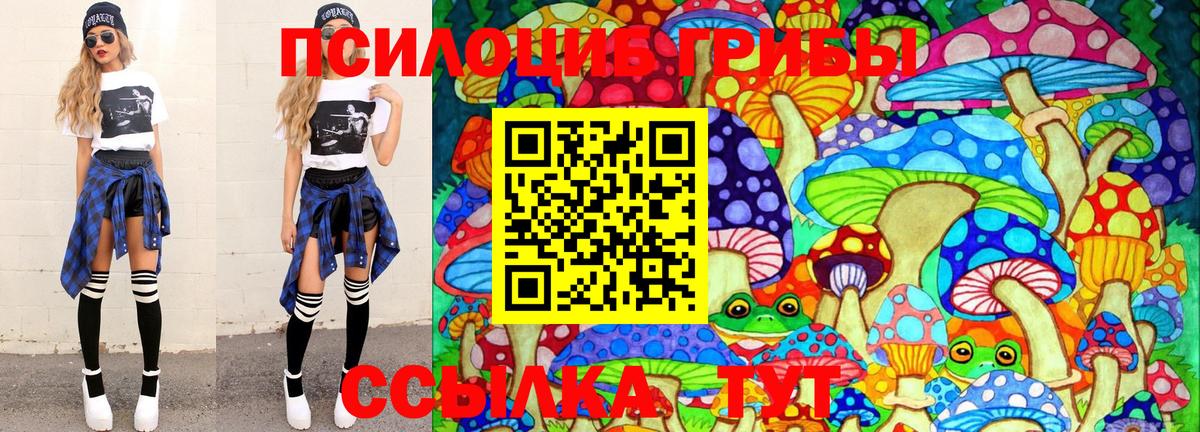Воскресенск  Псилоцибиновые грибы Magic Shrooms  Вход с VPN 